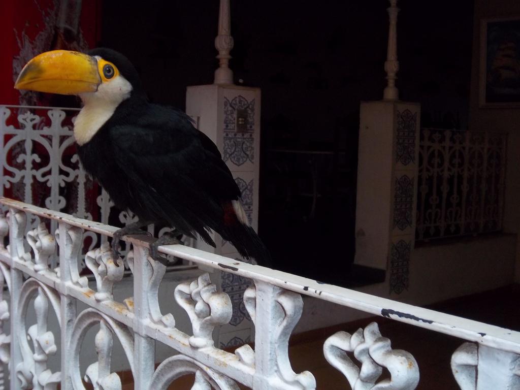 Pousada Do Mendonca Juiz de Fora Bagian luar foto