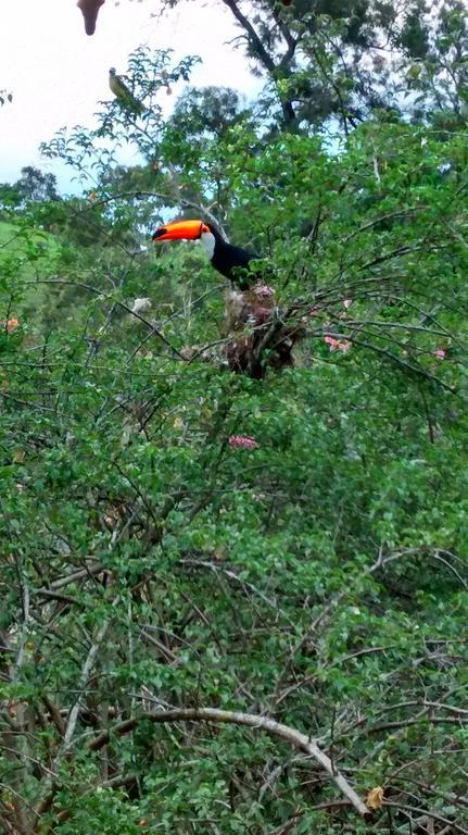 Pousada Do Mendonca Juiz de Fora Bagian luar foto