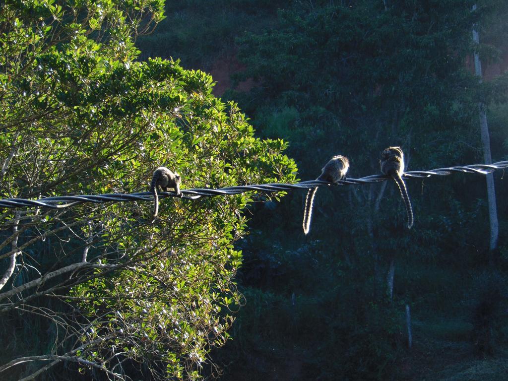 Pousada Do Mendonca Juiz de Fora Bagian luar foto